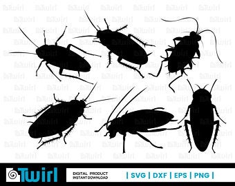 340x270 Cockroach Silhouette Etsy
