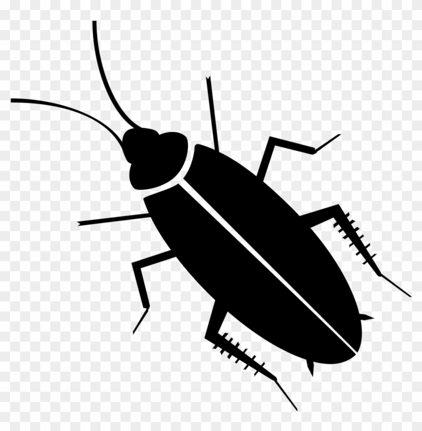 Roach Vector At Vectorified.com | Collection Of Roach Vector Free For ...