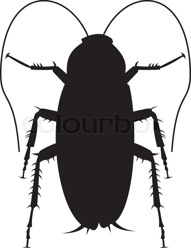 615x800 Illustration Of A Cockroach Silhouette Stock Vector Colourbox
