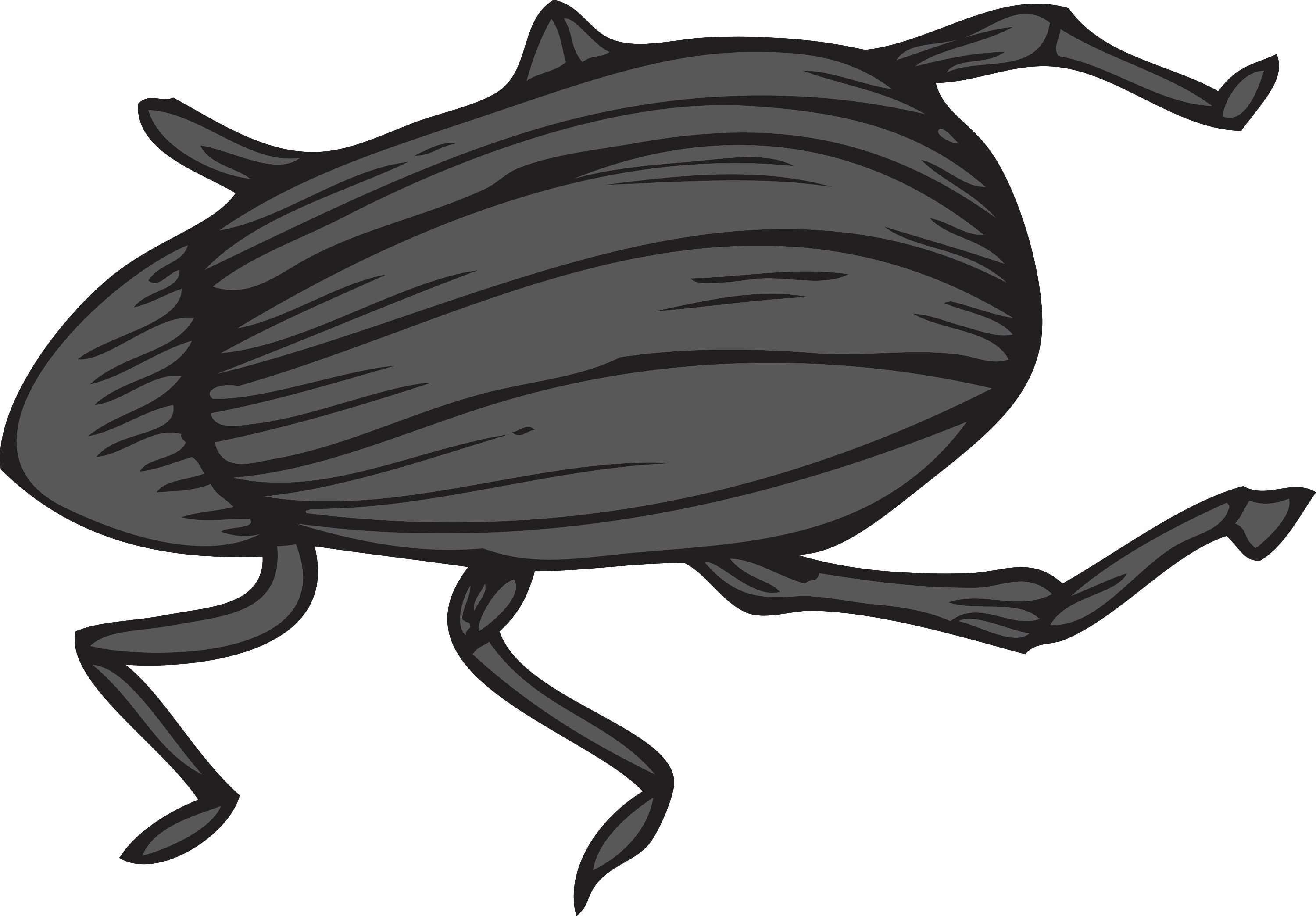 3000x2088 Are You Handling Roach Elimination From Your Home In The Right Way