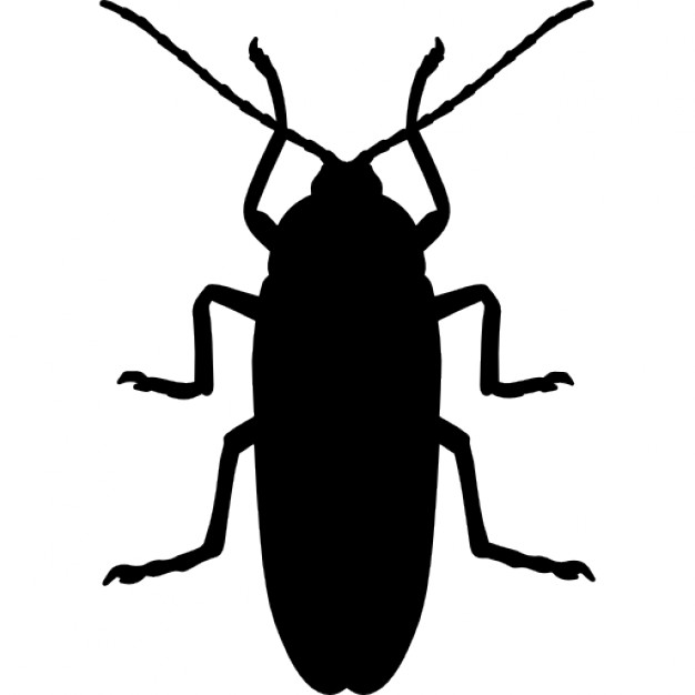 626x626 Roach Roach Vector