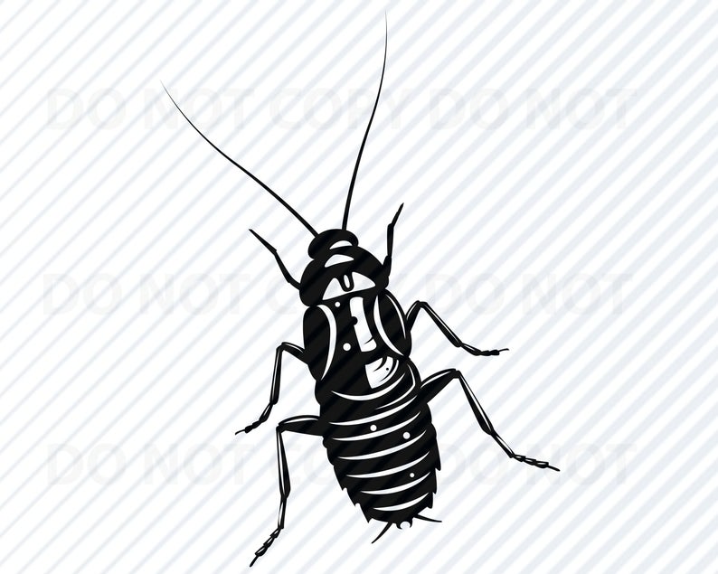 794x635 Roach Bug Design Vector Images Silhouette Clip Art Etsy