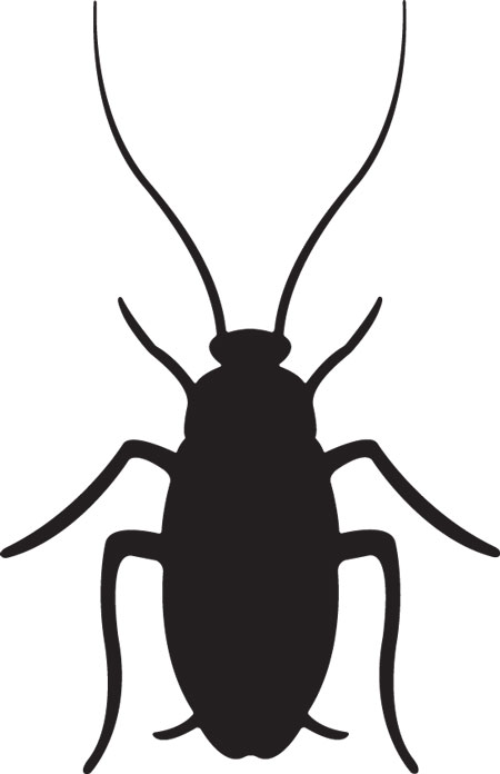 450x696 Roach Clipart Free Cliparts Download Images On Clipground