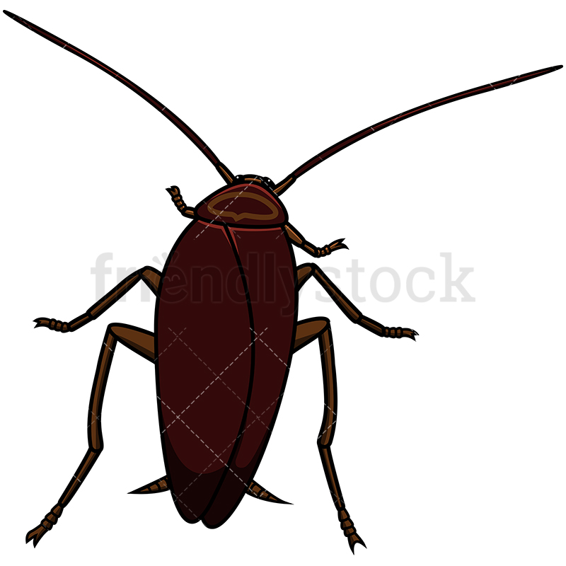 Roach Vector at Vectorified.com | Collection of Roach Vector free for ...