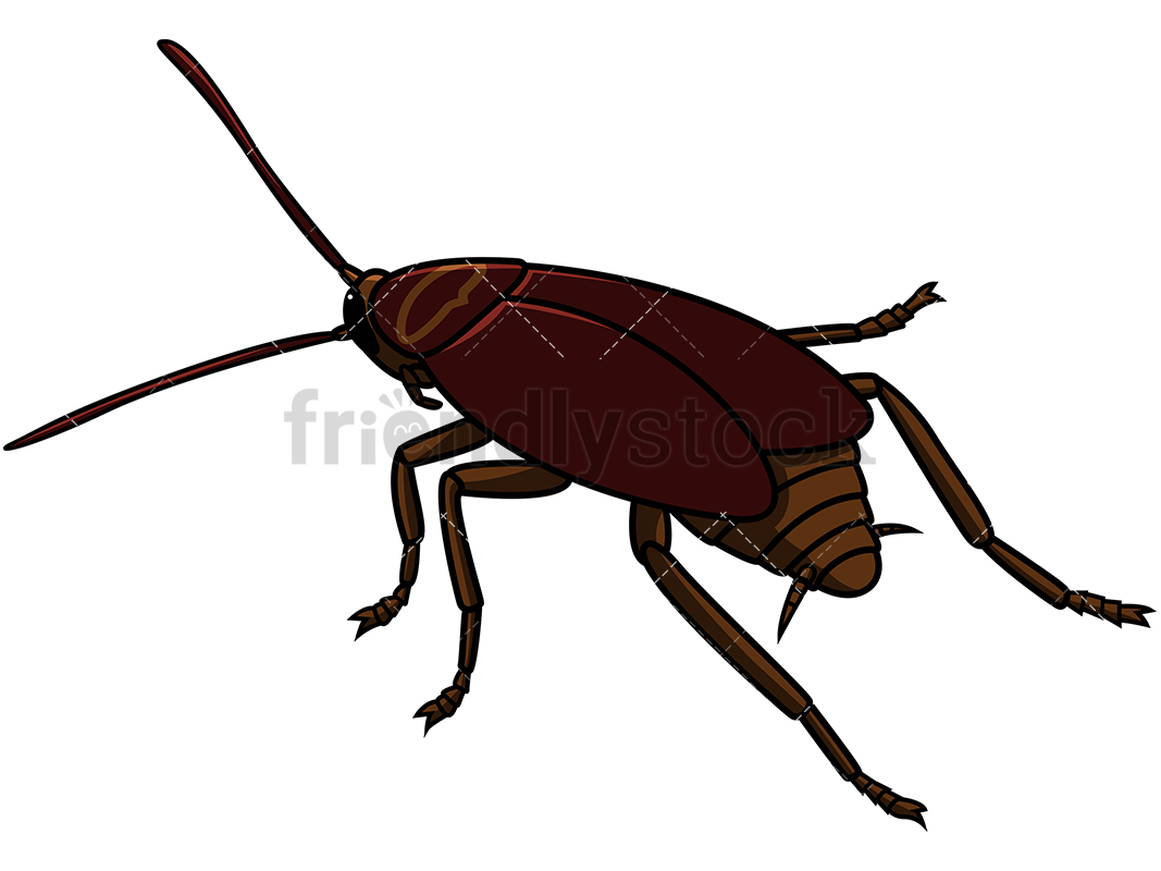 1067x800 Back View Cockroach Cartoon Vector Clipart