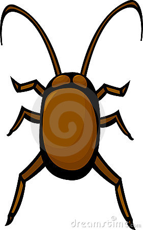 281x450 Cockroach Vector Illustration