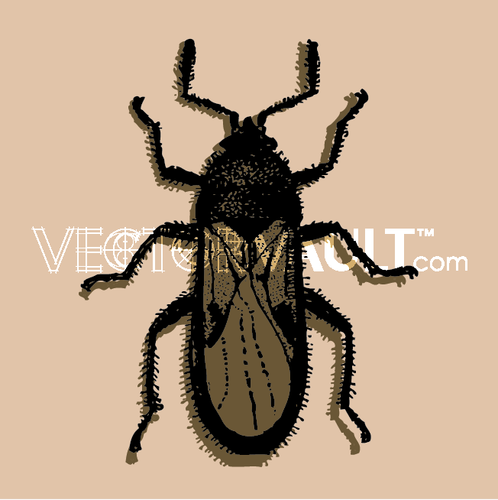 498x500 Buy Vector Cockroach Icon Logo Graphic Royalty Free Vectors