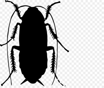 350x296 Cockroach Pest Control Roach Bait Insect