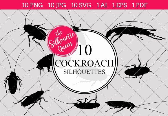 580x401 Cockroach Silhouette Clipart