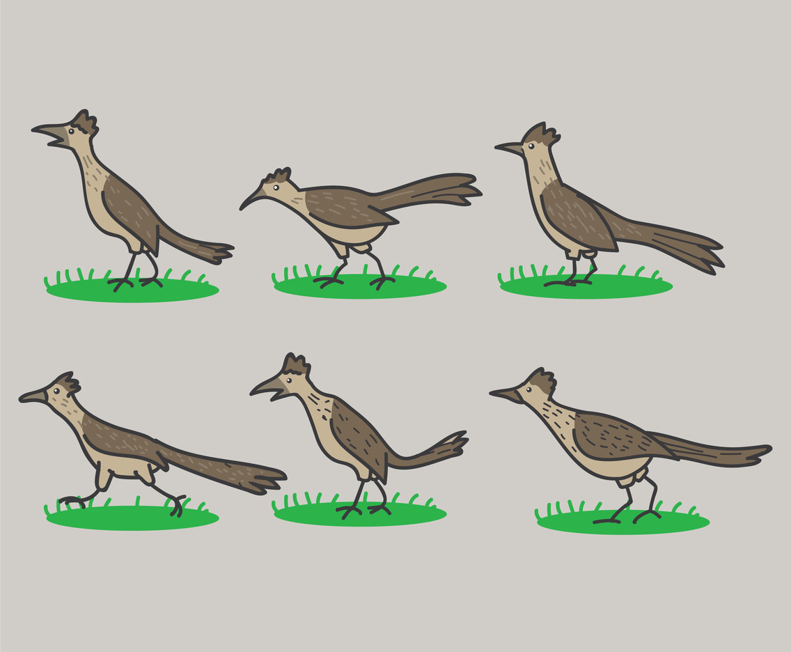 1136x936 Cartoon Roadrunner Vectors Vector Art Graphics