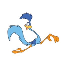 Road Runner Vector At Vectorified.com 