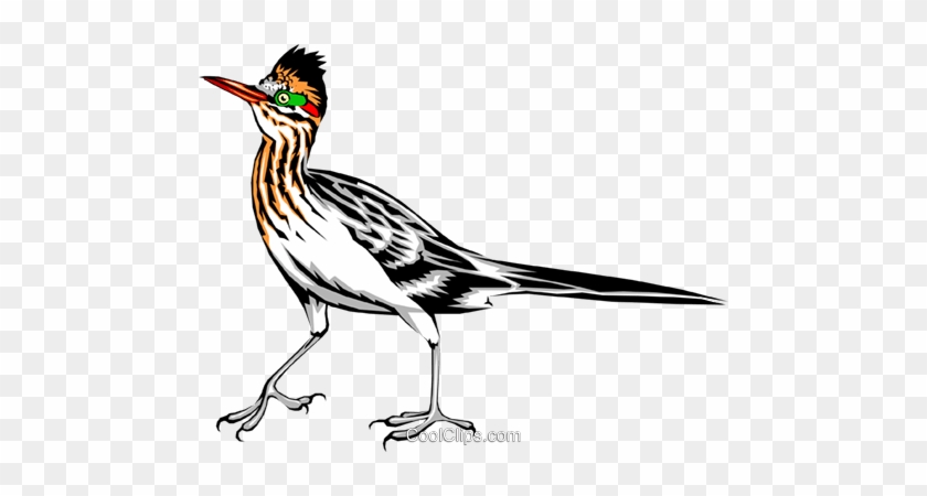 840x450 Roadrunner Royalty Free Vector Clip Art Illustration