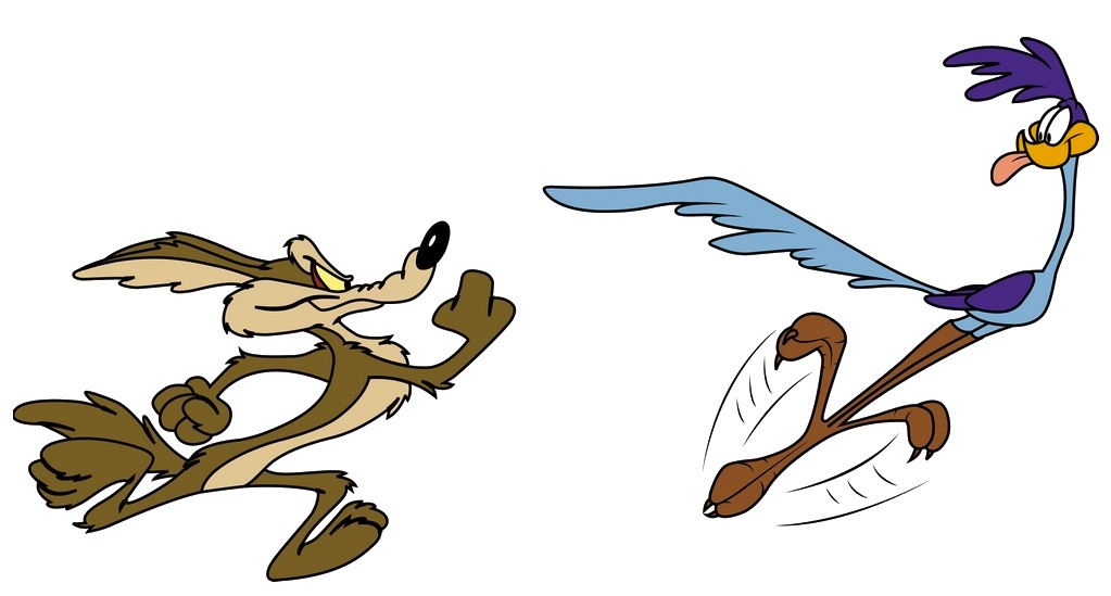1023x549 Roadrunner Vector And Road Runner Clipart Favorite