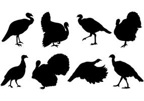 286x200 Turkey Free Vector Art