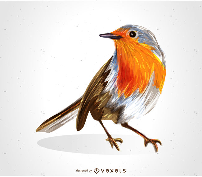 651x570 Redbreast Robin Bird Drawing