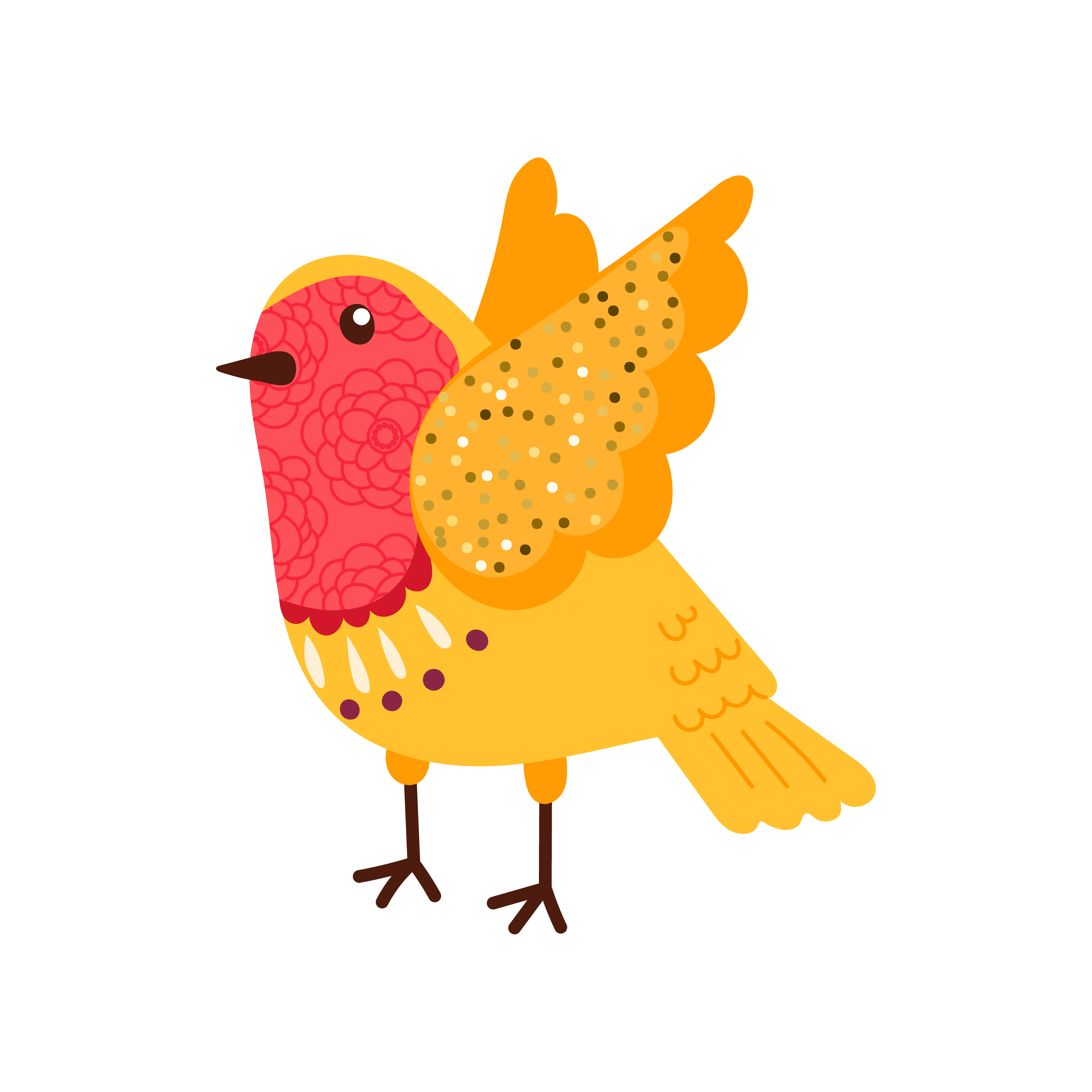 5001x5001 Robin Bird Free Vector Art