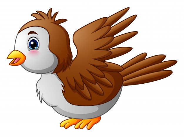 626x465 Robin Bird Vectors, Photos And Free Download