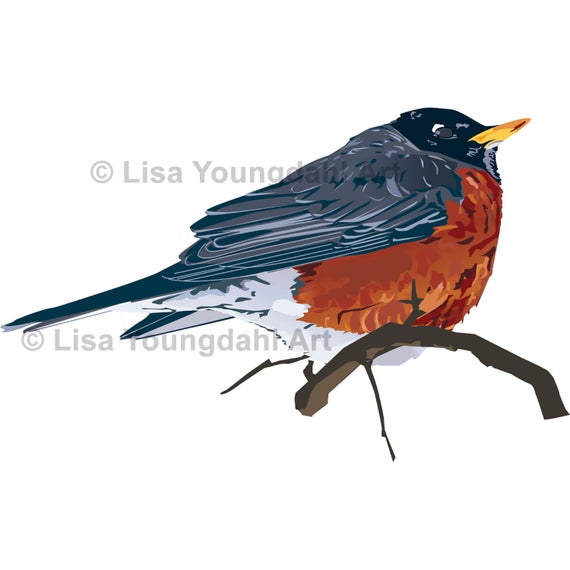 570x570 Robin Digital Vector Illustration For Instant Download Etsy