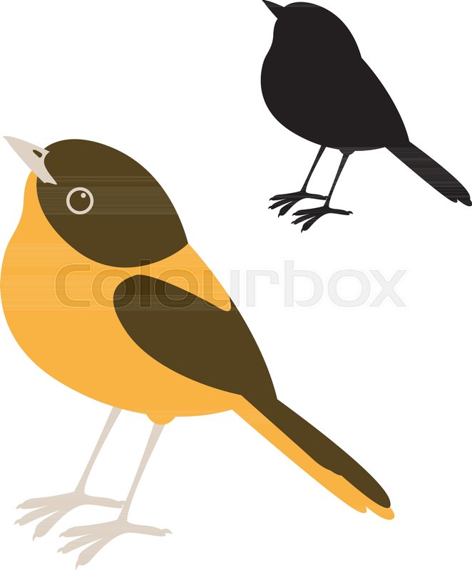 662x800 Bird Robin Vector Illustration Flat Stock Vector Colourbox
