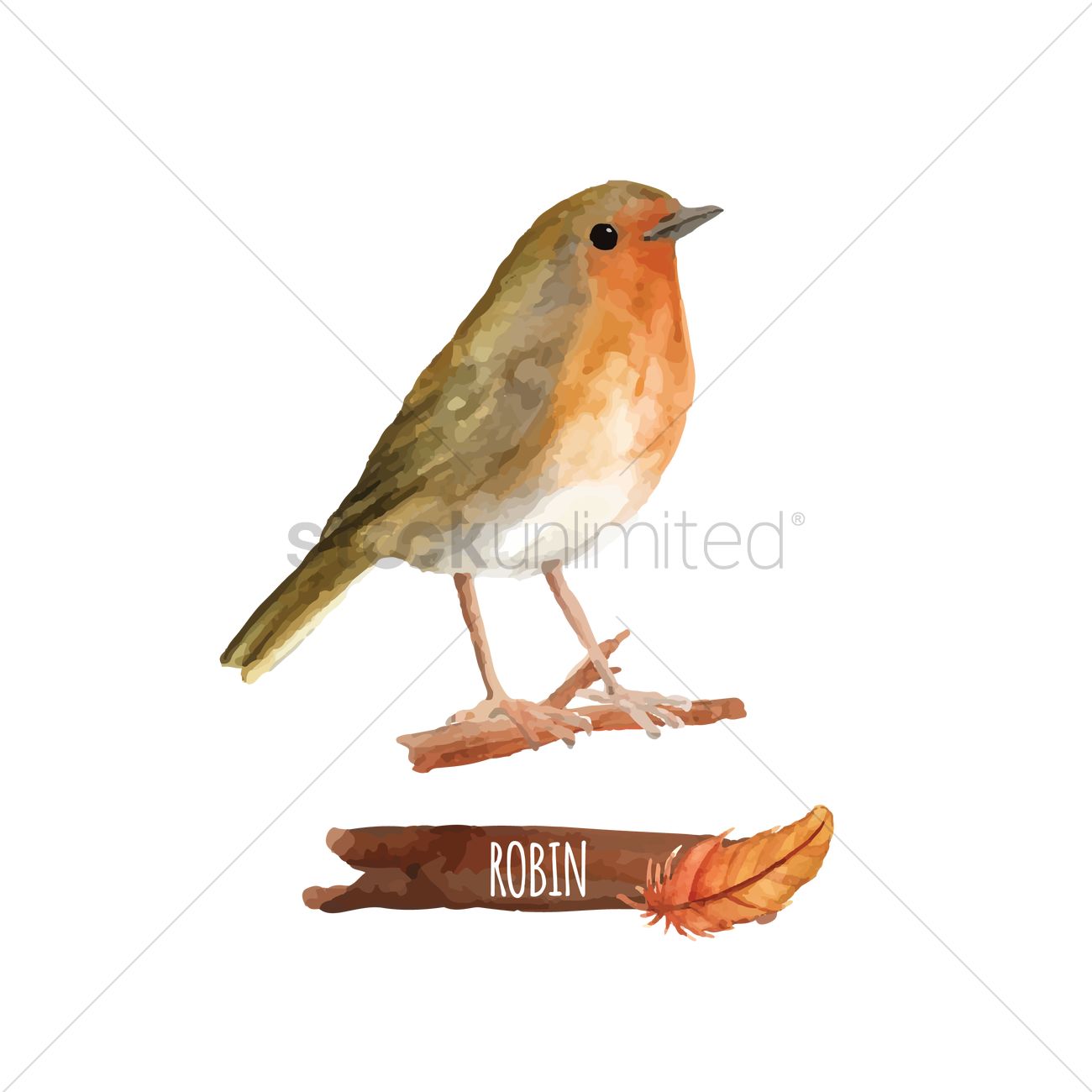 1300x1300 Robin Vector Image
