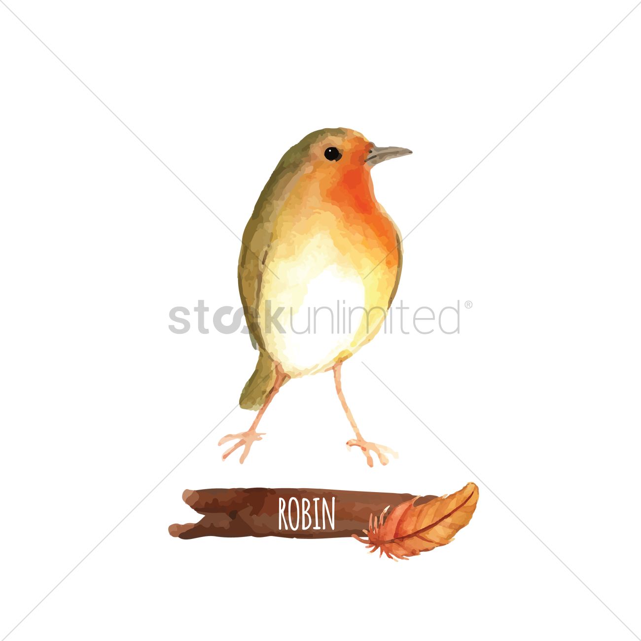 1300x1300 Robin Vector Image