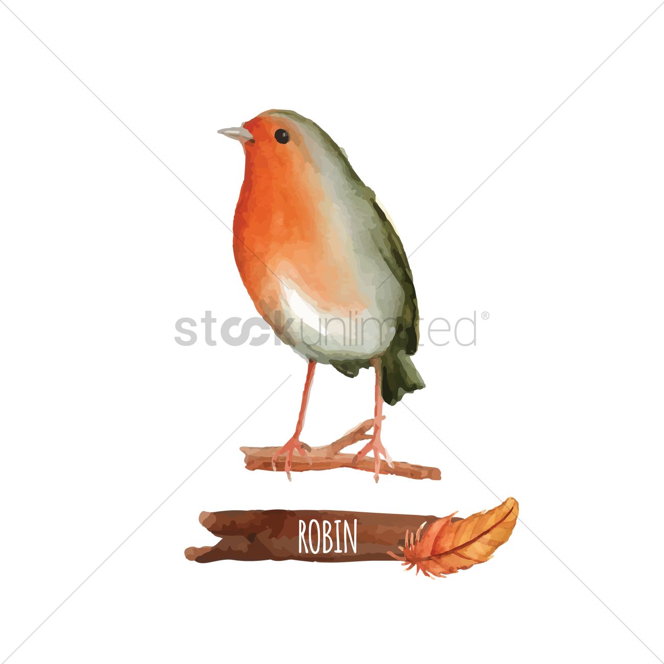 1300x1300 Robin Vector Image