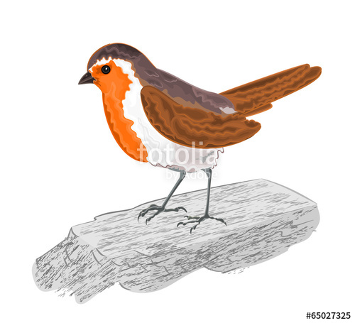500x455 Robin Bird On The Stone Vector Illustration Without Gradients
