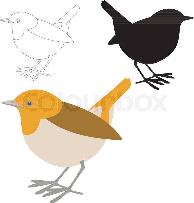 765x800 Robin Bird Vector Illustration Flat Stock Vector Colourbox