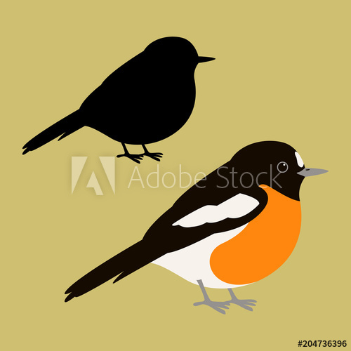 500x500 Scarlet Robin Vector Illustration Flat Style Silhouette