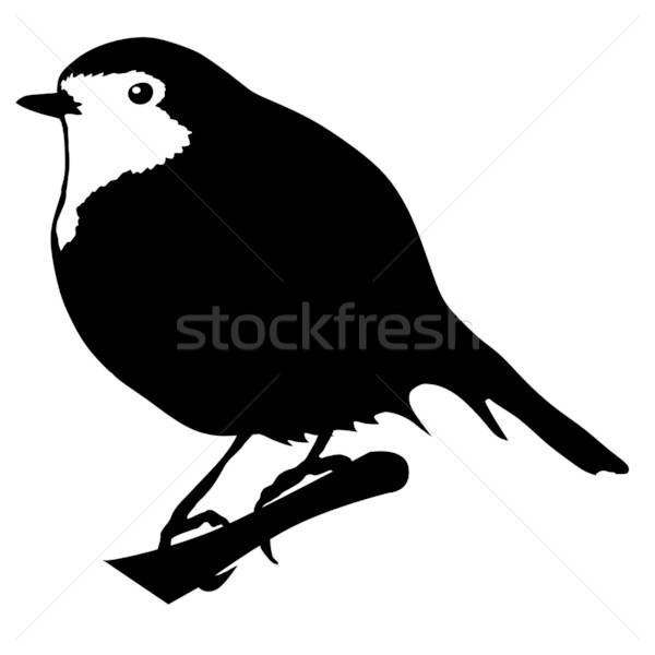 600x600 Silhouette Of Robin Vector Illustration Oleksandr Kovalenko