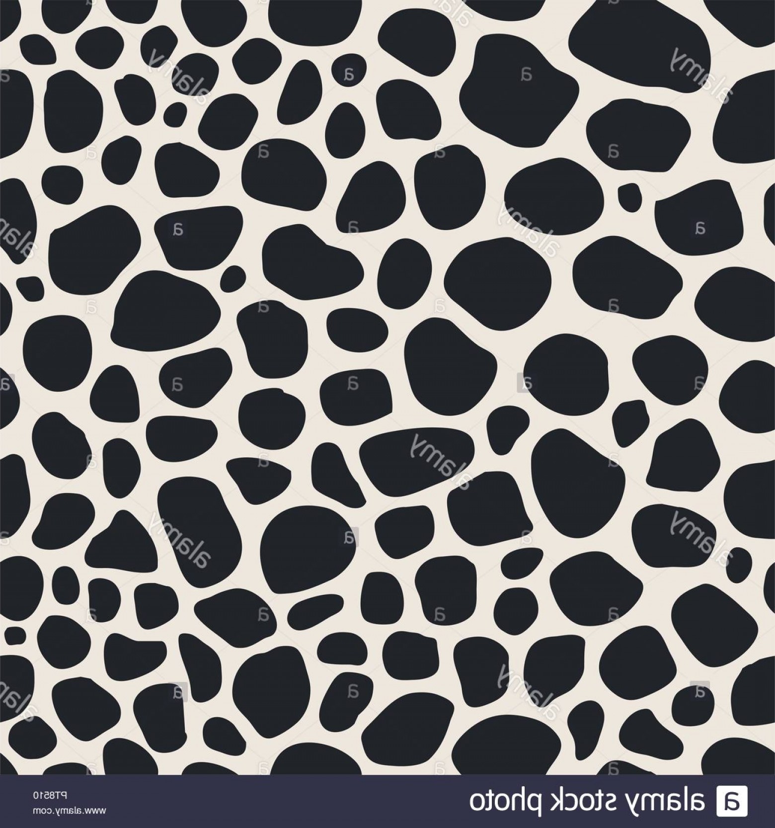 1560x1666 Rock Wall Vector Cultracing