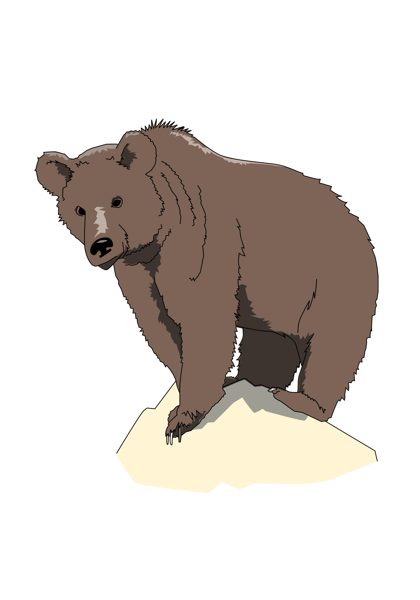 1680x2400 Grizzly Bear Standing On Rock Vector Clipart Image