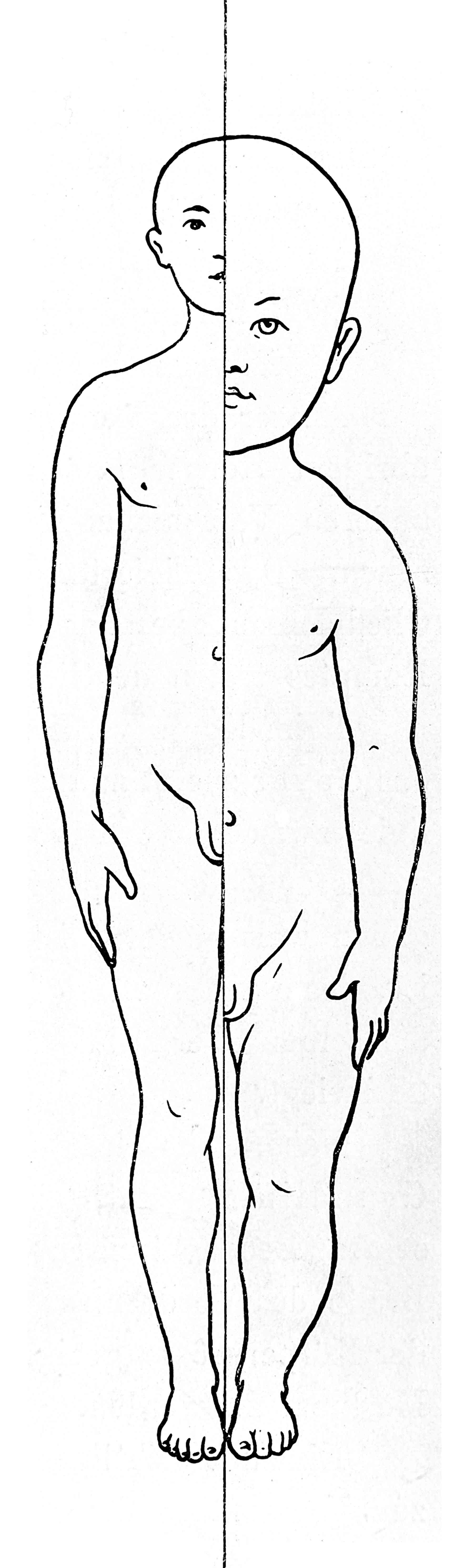 1783x5952 Collection Of 'rock Wall Drawing' Download More Than Images