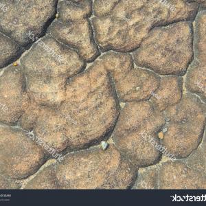 300x300 Best Free Vector Rock Climbing Wall Vector Cdr Catchsplace