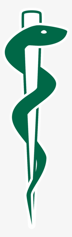Rod Of Asclepius Png Download Transparent Rod Of Asclepius Png 300x977 Rod Of Asclepius Png Download Transparent Rod Of Asclepius Png