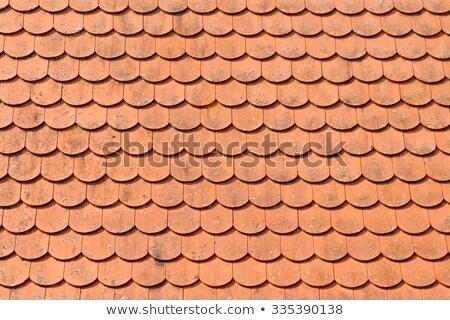 450x320 Seamless Pattern Of Red Clay Roof Tiles Vector Name