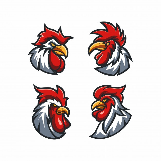 626x626 Rooster Vectors, Photos And Free Download
