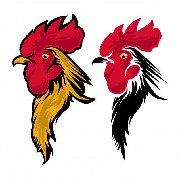 626x626 Rooster Head Logo Set Vector Premium Download
