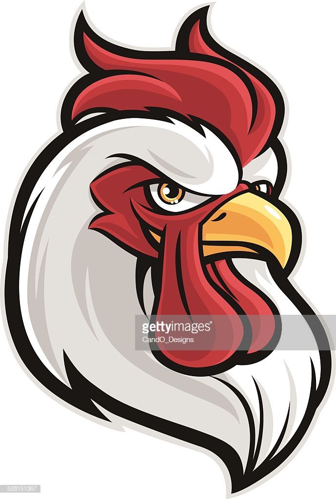 689x1024 Rooster Head Vector Chicken Paintings