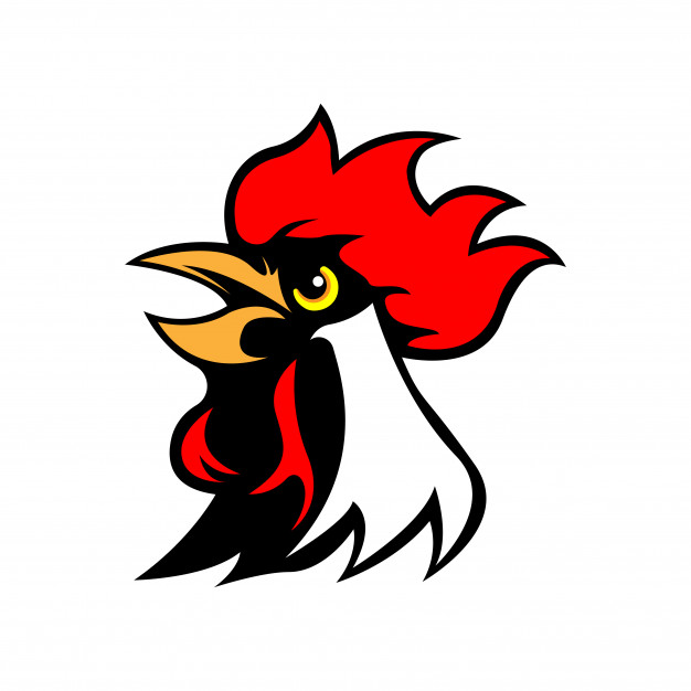 626x626 Chicken Rooster Head Mascot Vector Premium Download