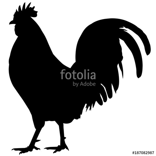Rooster Silhouette Vector Graphics Stock Image And Royalty Free 500x500 Rooster Silhouette Vector Graphics Stock Image And Royalty Free