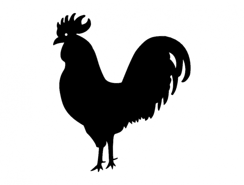 Rooster Silhouette Vector Dxf Free Download 800x606 Rooster Silhouette Vector Dxf Free Download