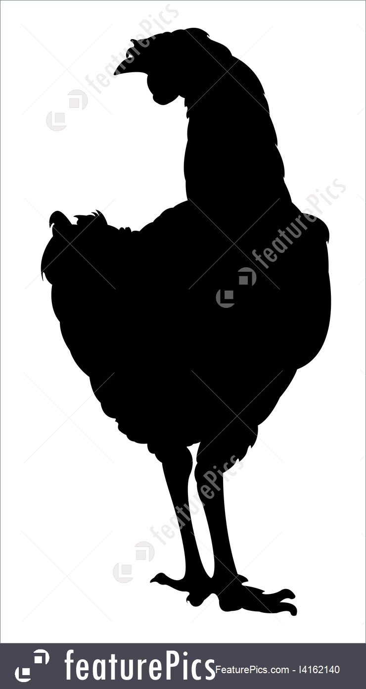 Download Rooster Silhouette Vector at Vectorified.com | Collection ...
