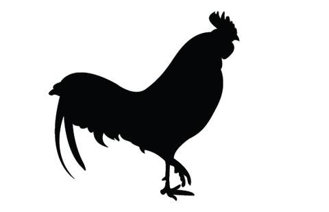 Rooster Silhouette Vectors Silo Rooster Silhouette, Silhouette 480x309 Rooster Silhouette Vectors Silo Rooster Silhouette, Silhouette