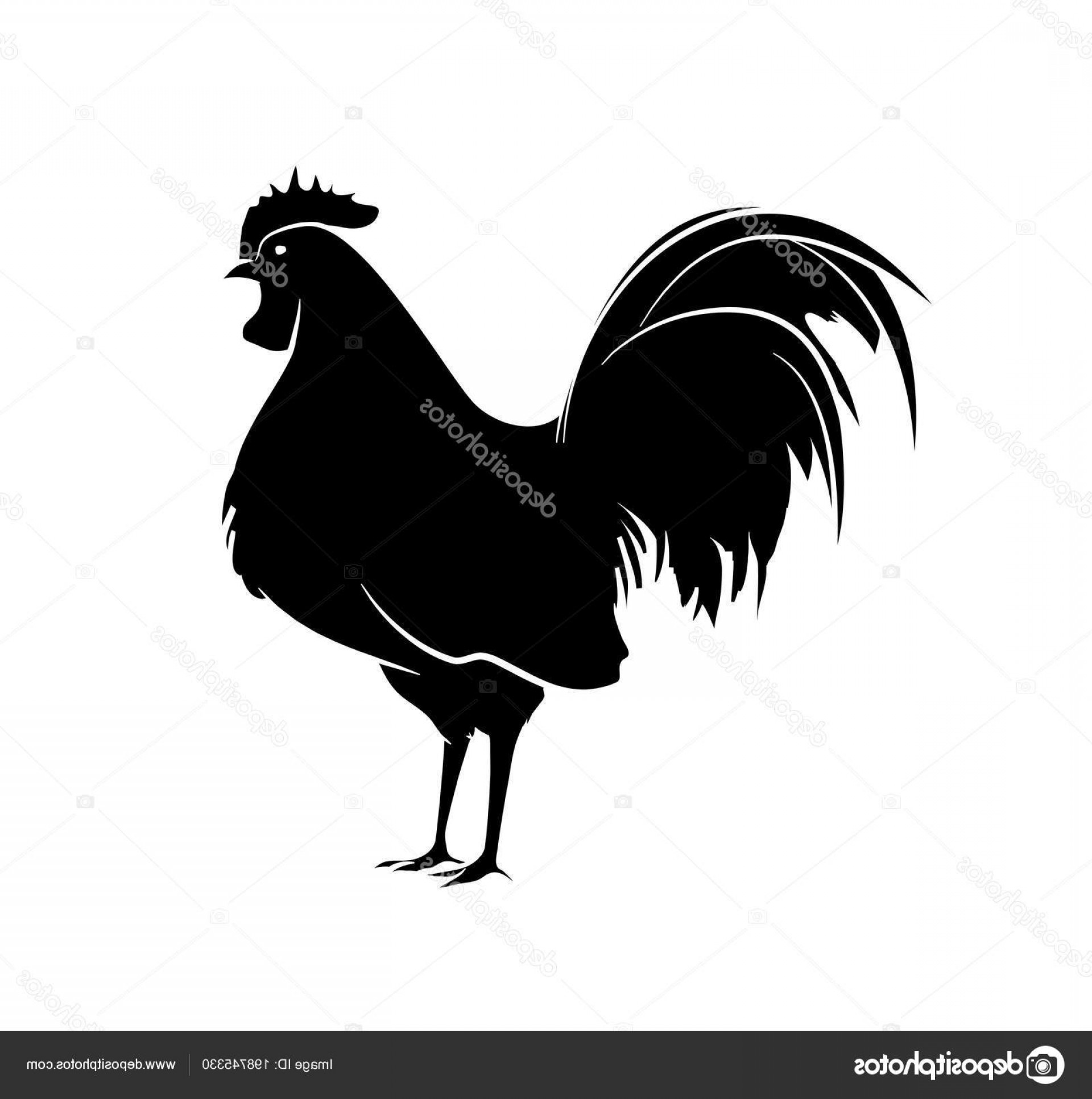 Vector Rooster Crsilhouette Cultracing 1920x1932 Vector Rooster Crsilhouette Cultracing