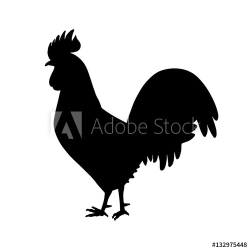 Vector Illustration Rooster Silhouette Vector Cock 500x500 Vector Illustration Rooster Silhouette Vector Cock
