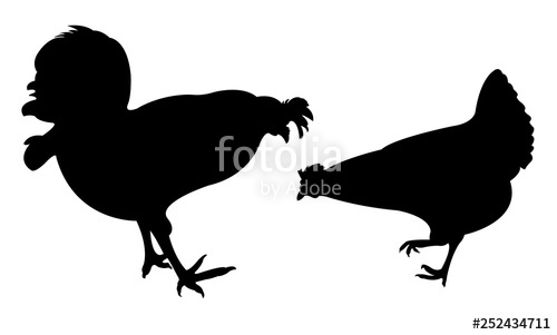 Chcikens, Roosters Silhouette Vector Stock Image And Royalty 500x301 Chcikens, Roosters Silhouette Vector Stock Image And Royalty