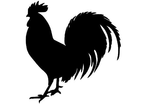 Free Rooster Pictures To Print Roosters Original Paintings Art 500x353 Free Rooster Pictures To Print Roosters Original Paintings Art