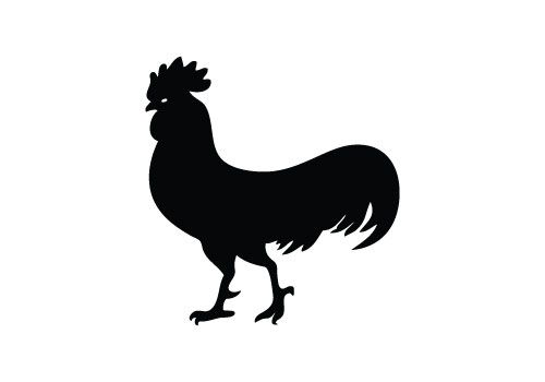 Free Rooster Silhouette Vector 500x350 Free Rooster Silhouette Vector