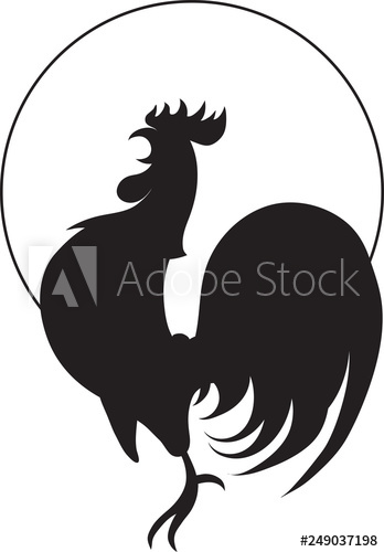 Rooster, Silhouette 348x500 Rooster, Silhouette